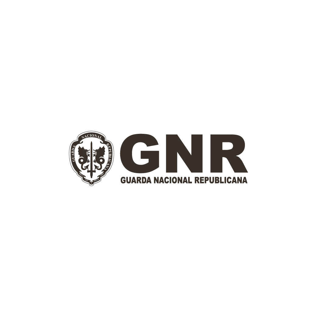 gnr_680687b6689b0