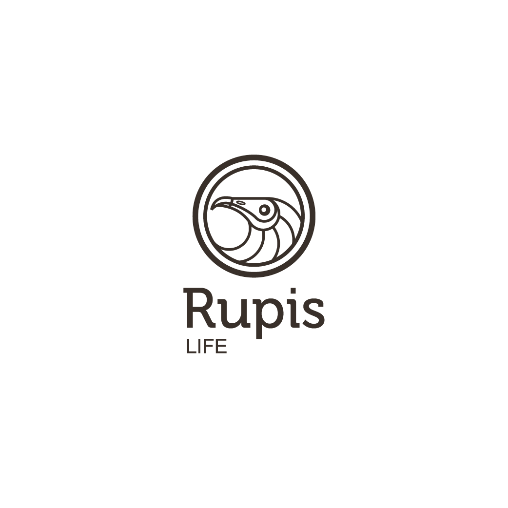 life_rupis_68068826d711a