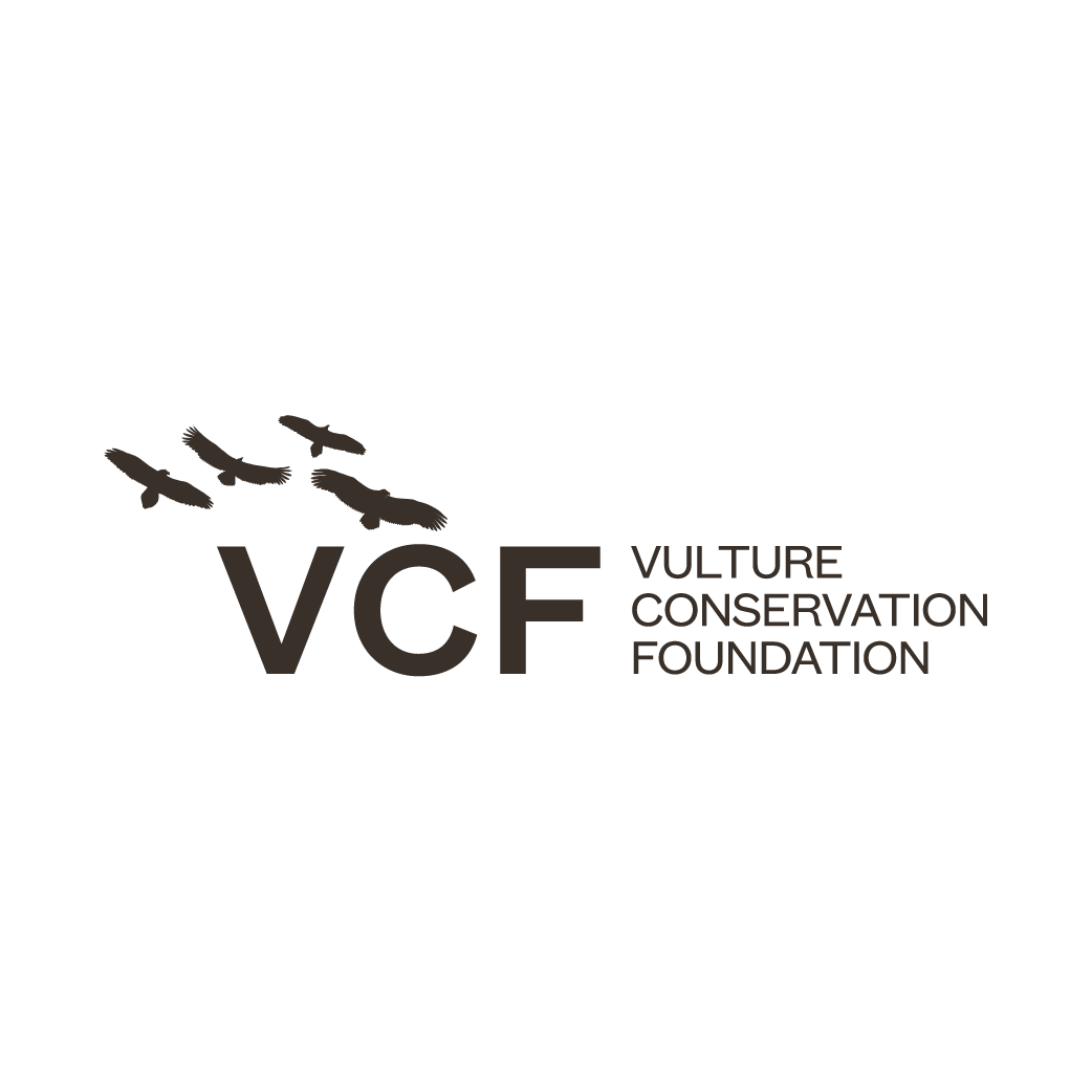 vulture_conservation_foundation_68068717c34d5