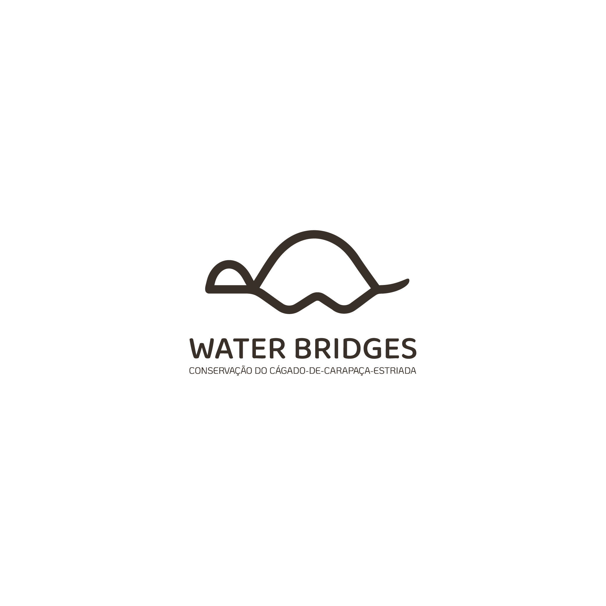 water_bridges_681101ba8c268
