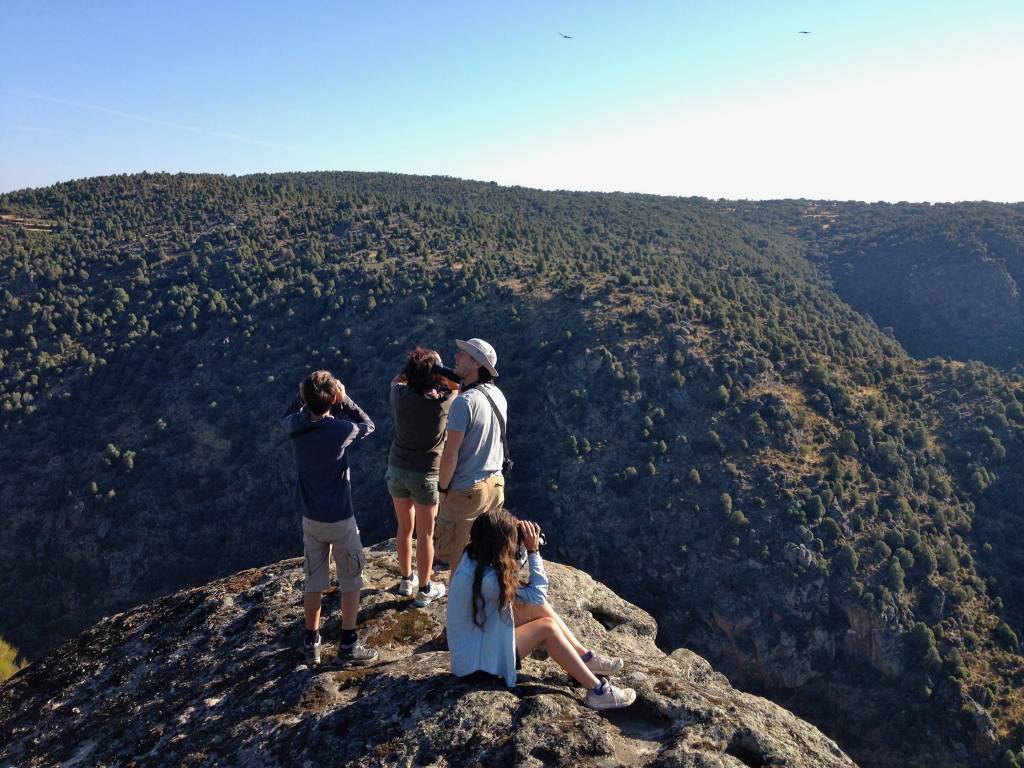 ARRIBAS DE L DOURO – Las Abes, la Tierra y Sues Gientes – Observação de Aves