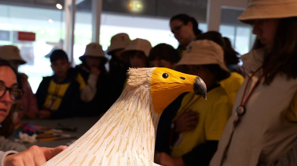Curiosidades das aves que vivem e se reproduzem no Arribes del Duero