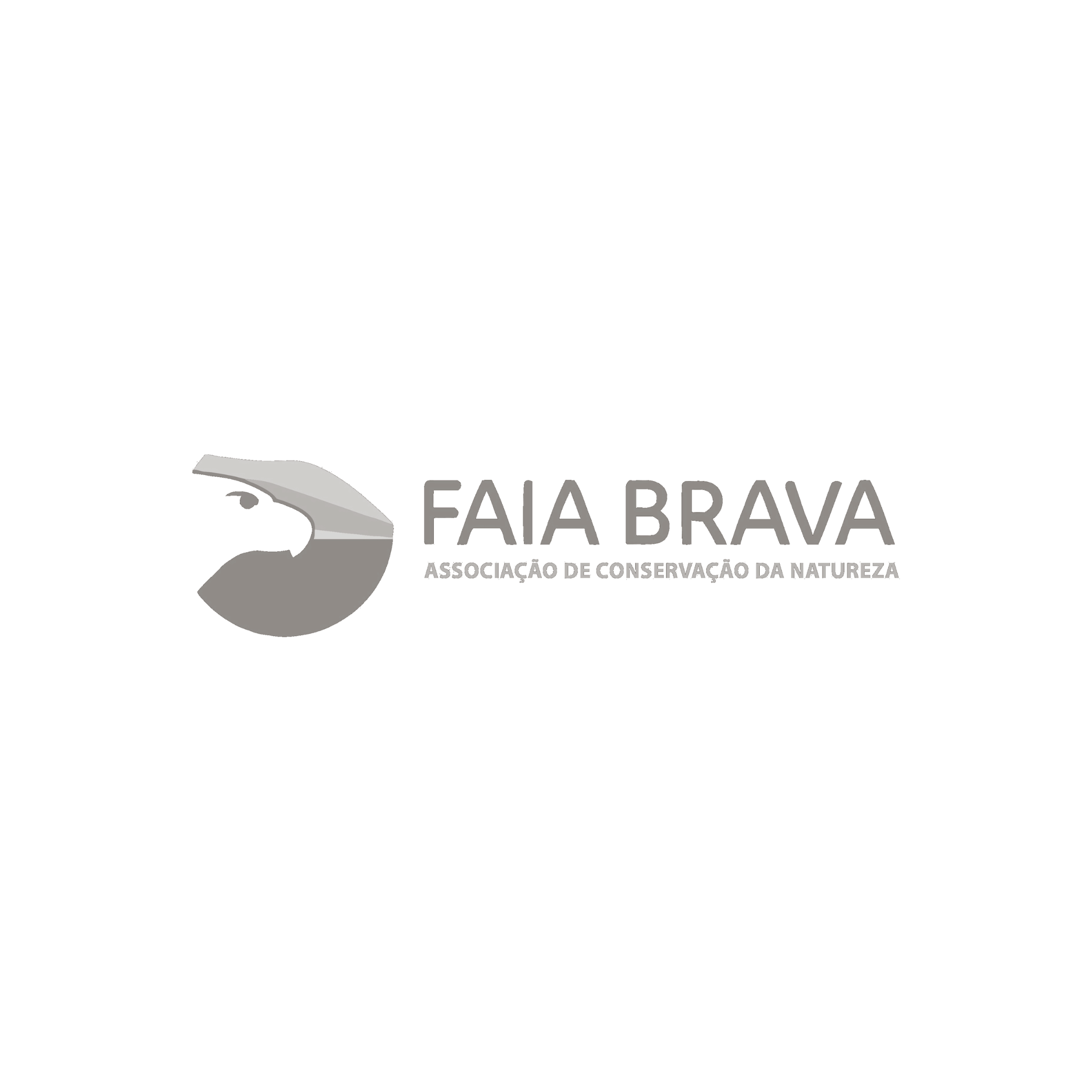 Design sem nome (17)