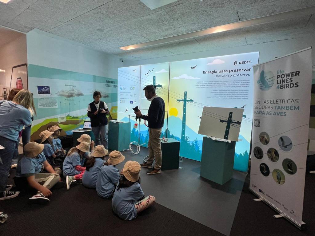 Linhas elétricas e avifauna: App E-redes
