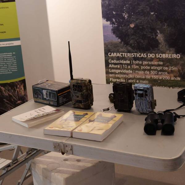 P1042597 (1)