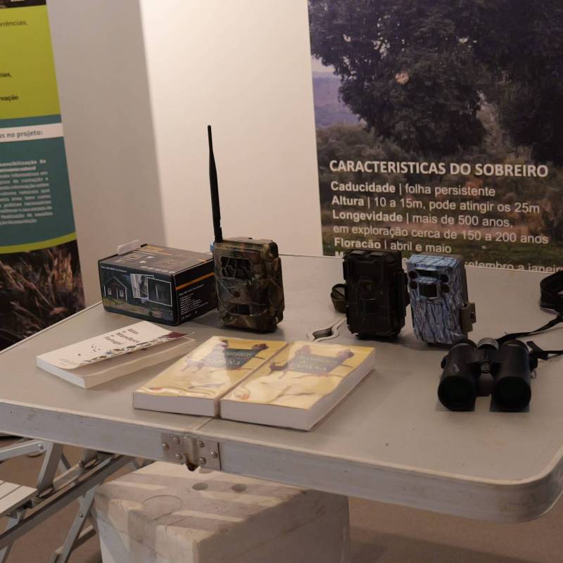 P1042597 (1)