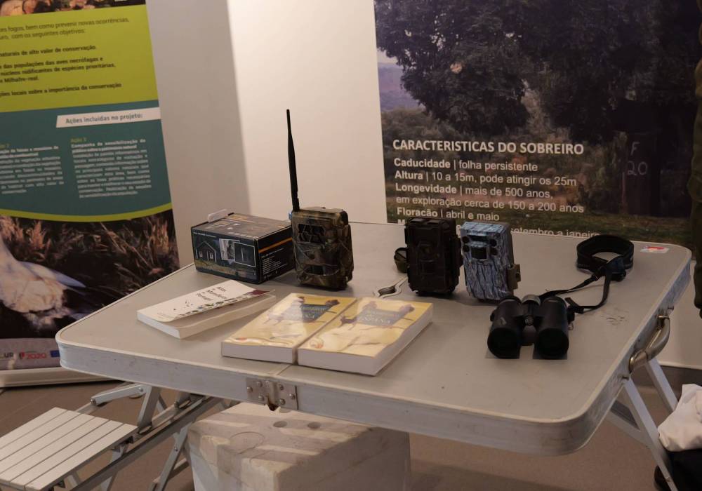 P1042597 (1)